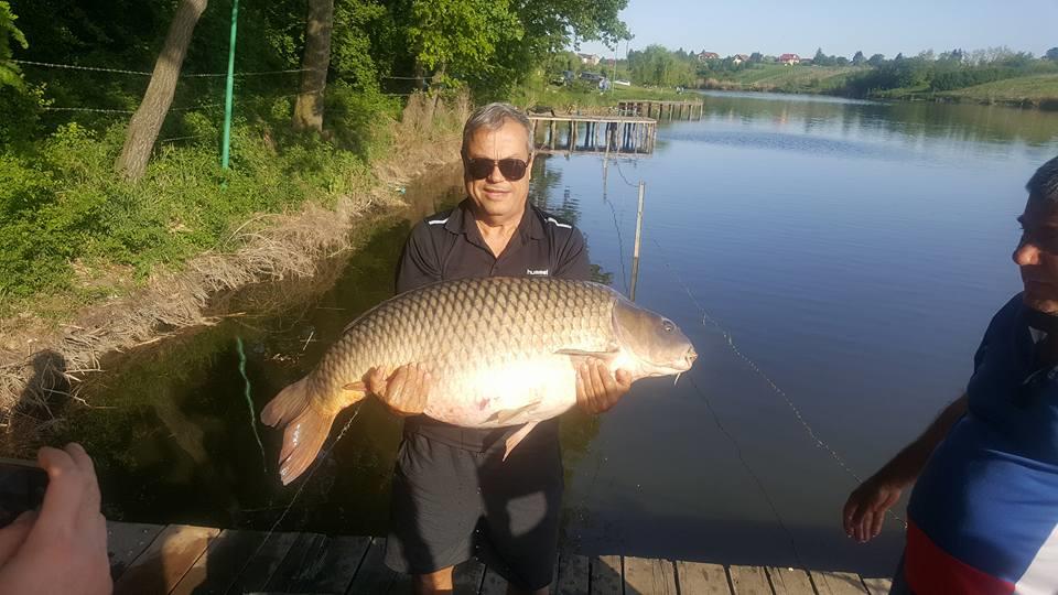 Moara Vlasiei 2 - 3167659417833273650389436734454899892813824n.jpg